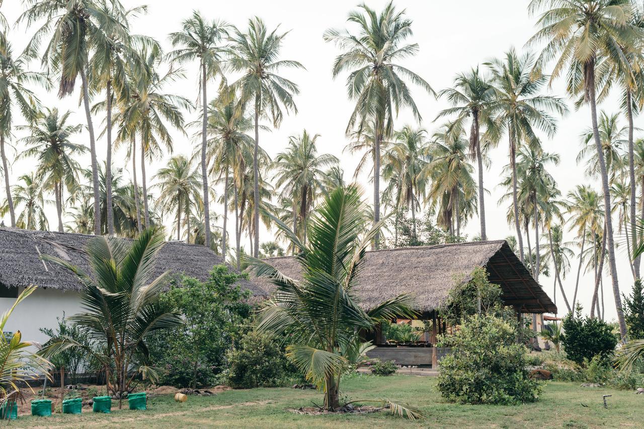 Luna Laguna Kalpitiya Exteriér fotografie